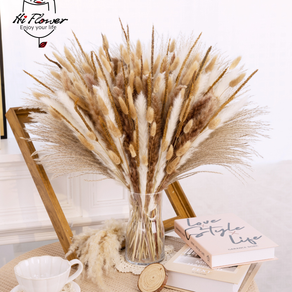 Pampas Grass Decor - باقة عشبة البامباس المجففة الطبيعية، فروع