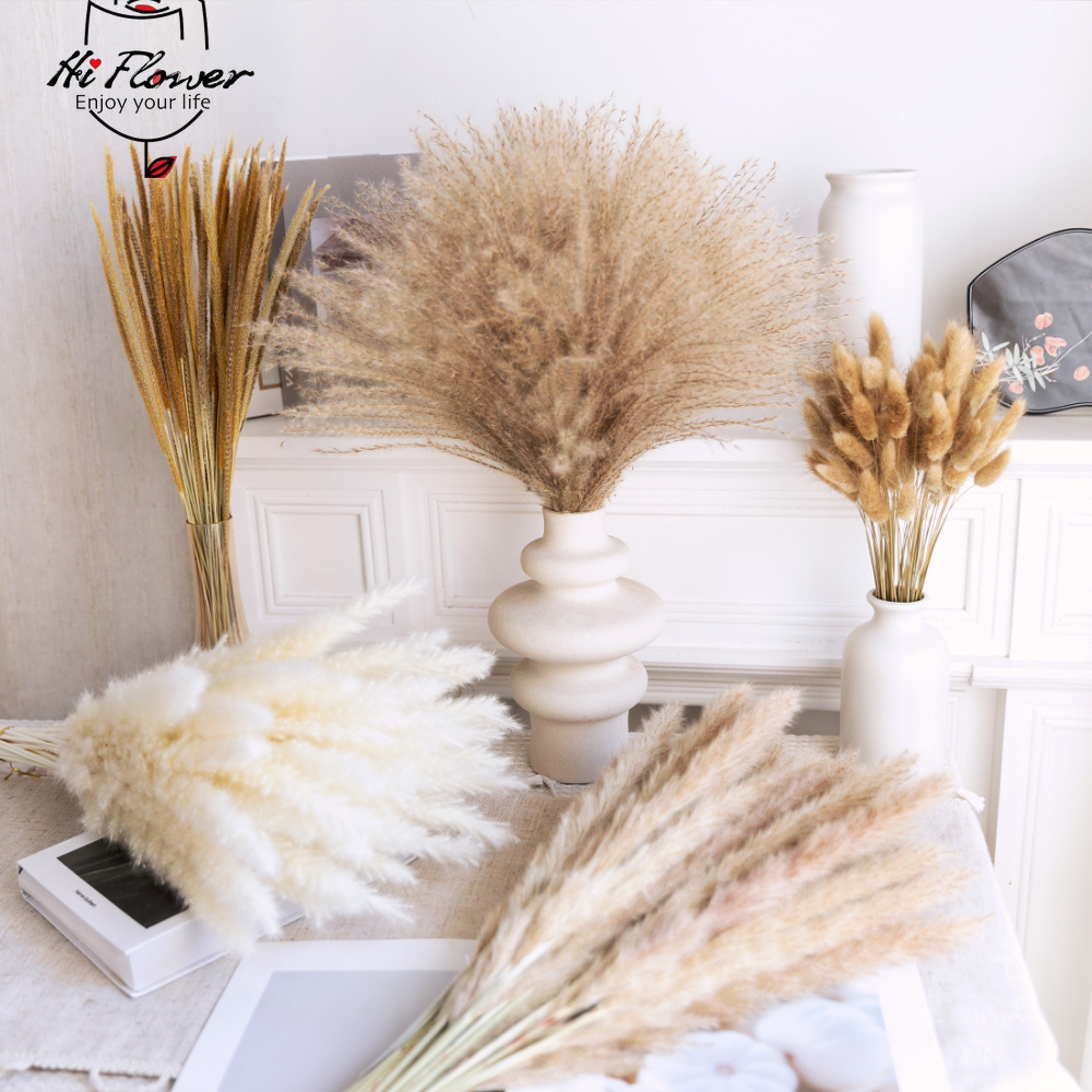 باقة عشبة البامباس المجففة الط - مراجعة Pampas Grass Decor وسعره