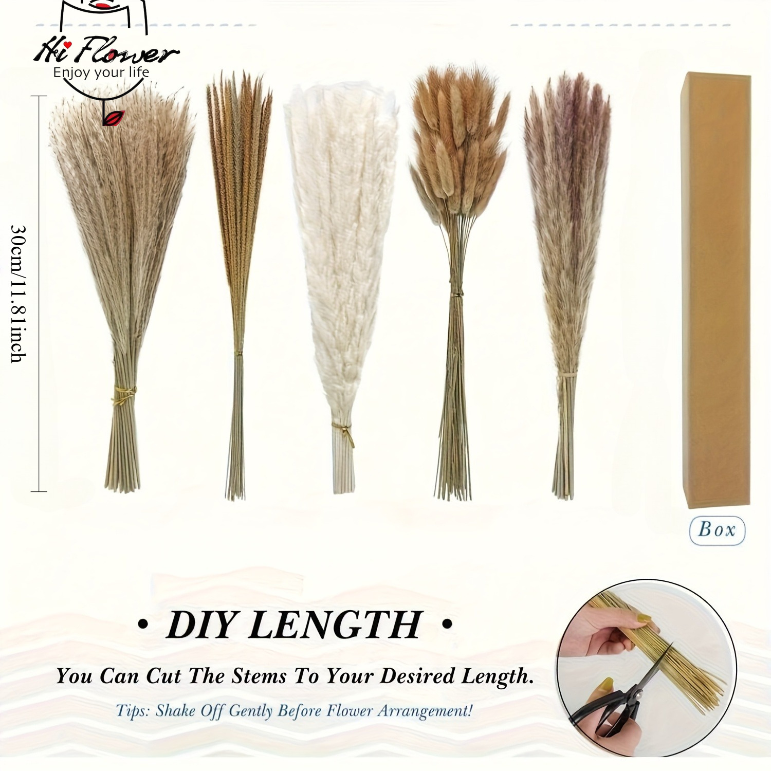 باقة عشبة البامباس المجففة الط - مراجعة Pampas Grass Decor وسعره