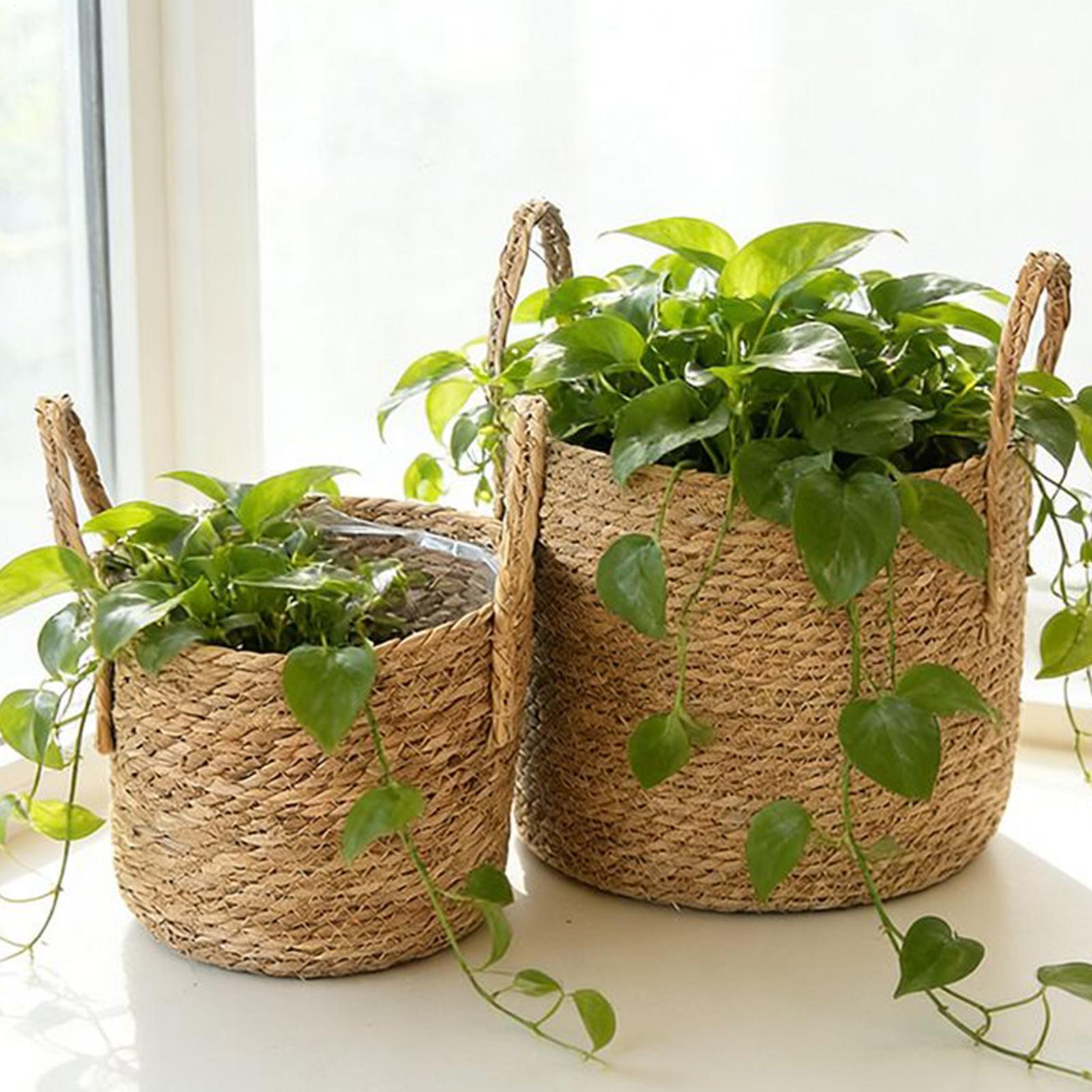 سلة زرع من القش والخيزران، أصي - مراجعة Rattan Plant Basket وسعره